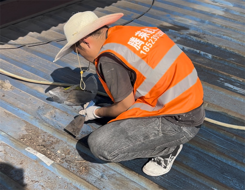 ���������������P�F������